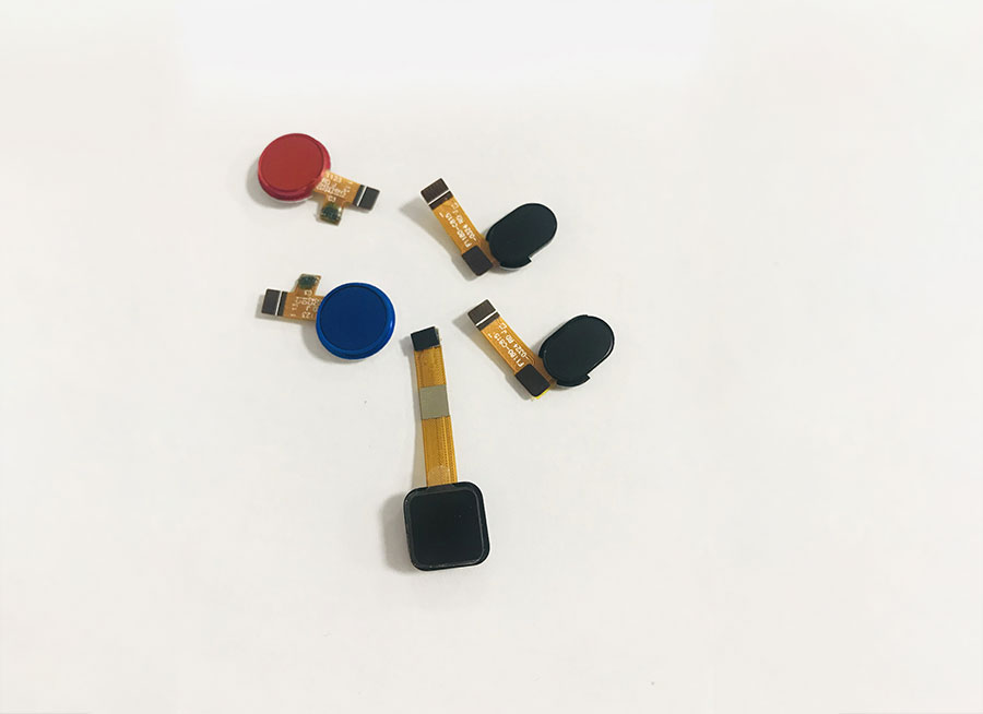 指纹模组12